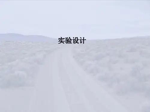 实验设计