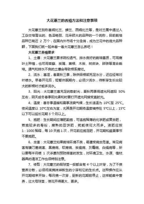 大花蕙兰的养殖方法和注意事项