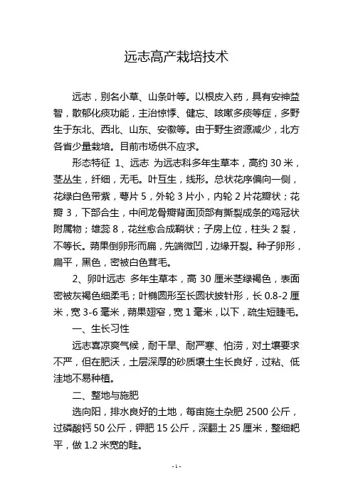 远志高产栽培技术
