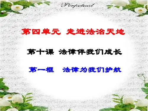 《法律为我们护航》优质课件1