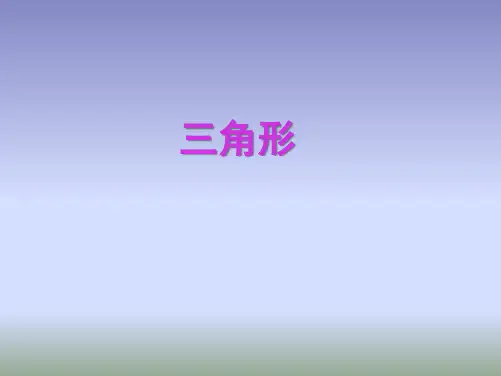 中考数学第一轮复习 三角形
