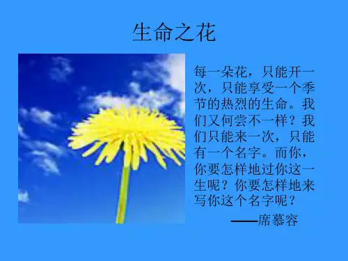 热爱生命蒙田公开课优质课件