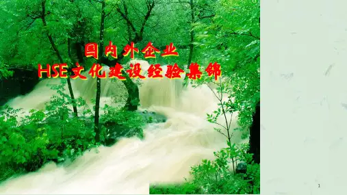 国内外企业在安全文化方面的理念和做法课件