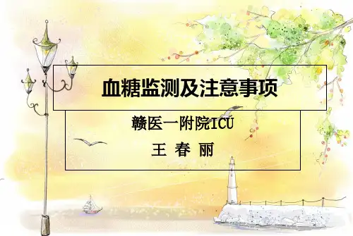 血糖监测及注意事项 ppt课件