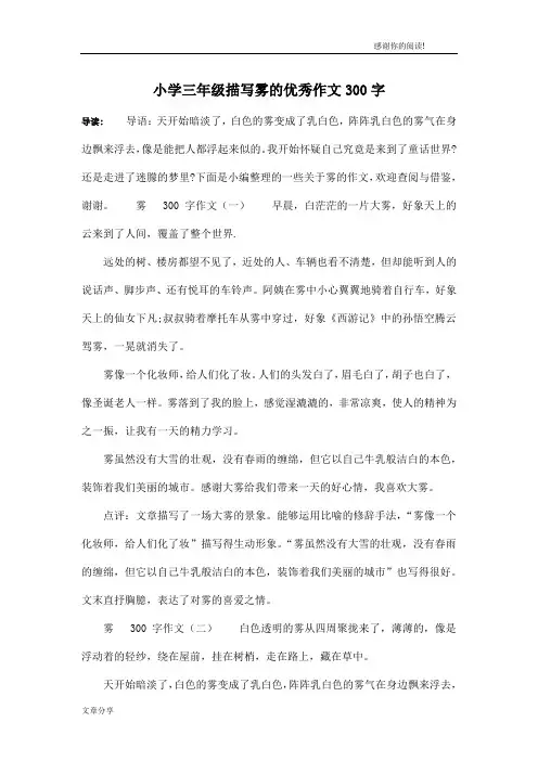小学三年级描写雾的优秀作文300字