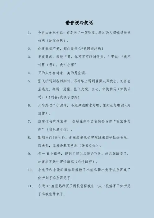 谐音梗冷笑话