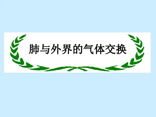 肺与外界的气体交换公开课青ppt课件