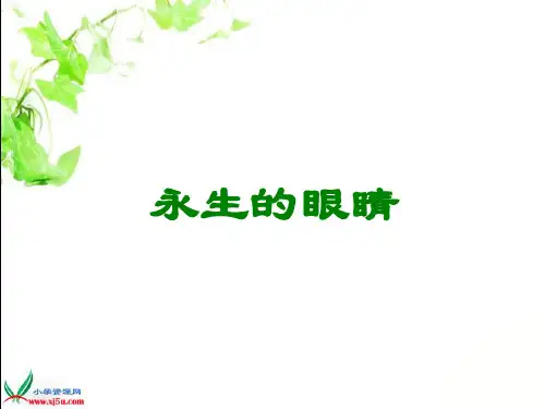 四下语文永生的眼睛 ppt课件