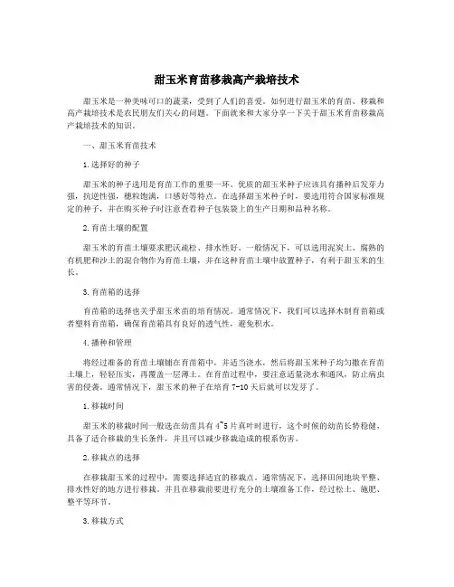 甜玉米育苗移栽高产栽培技术