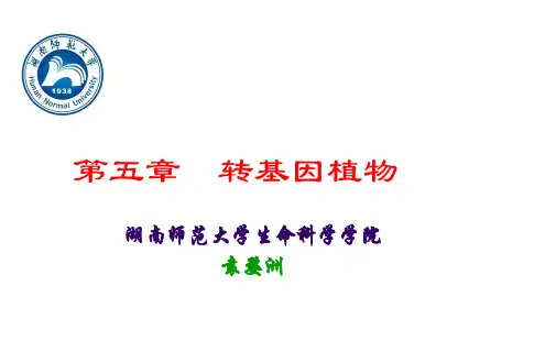 第五章++转基因植物