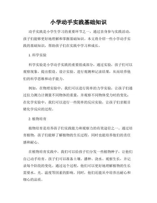 小学动手实践基础知识