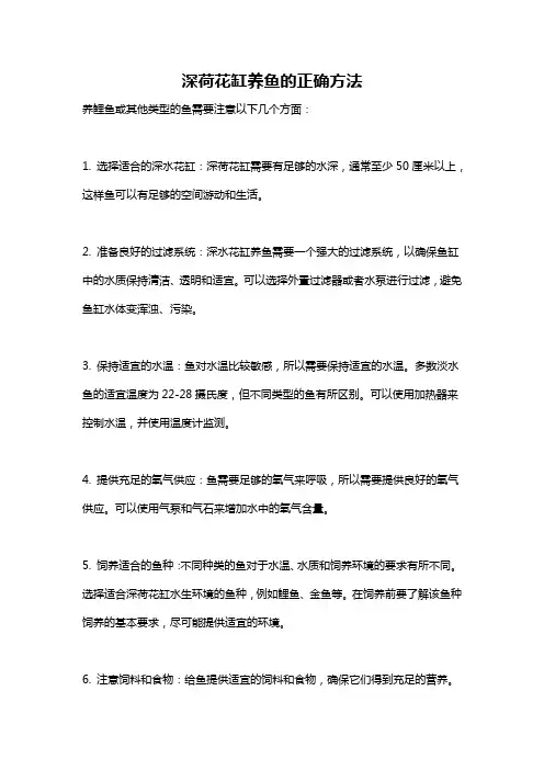 深荷花缸养鱼的正确方法
