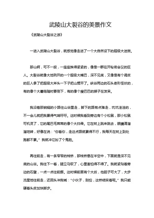 武陵山大裂谷的美景作文