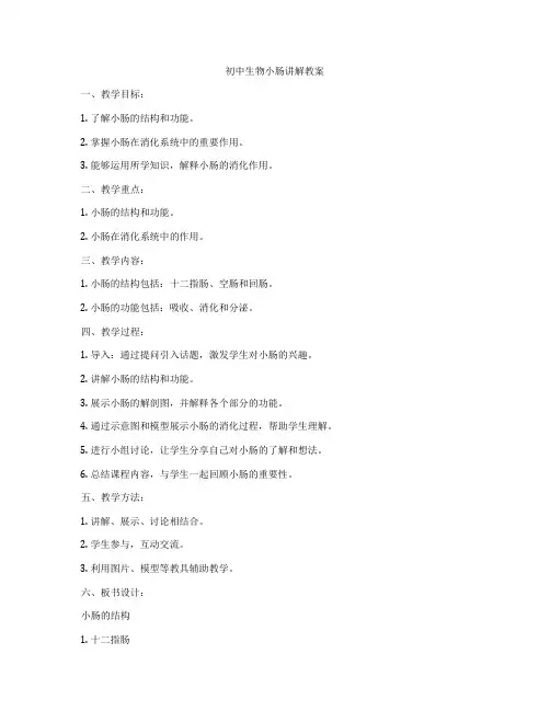 初中生物小肠讲解教案