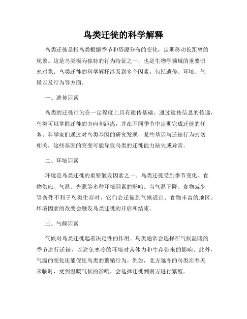 鸟类迁徙的科学解释