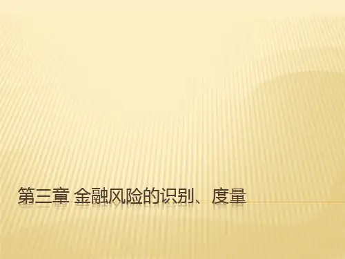 第三章 金融风险的识别、度量更新
