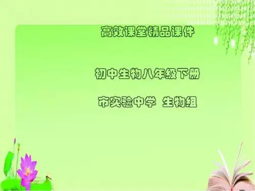 初中生物八年级下册高效课堂资料6.2.3生态系统的能量流动--