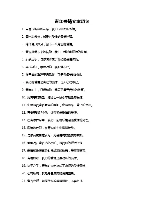 青年爱情文案短句