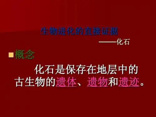 生物进化的直接证据——化石 (1)