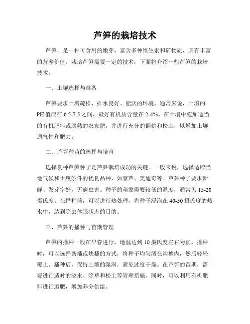 芦笋的栽培技术