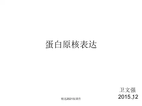 基因克隆与表达