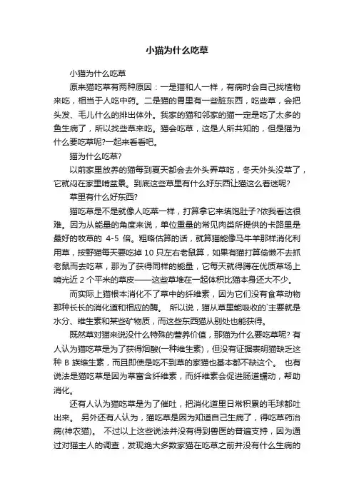小猫为什么吃草