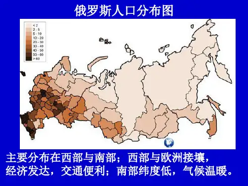 俄罗斯社会经济特征