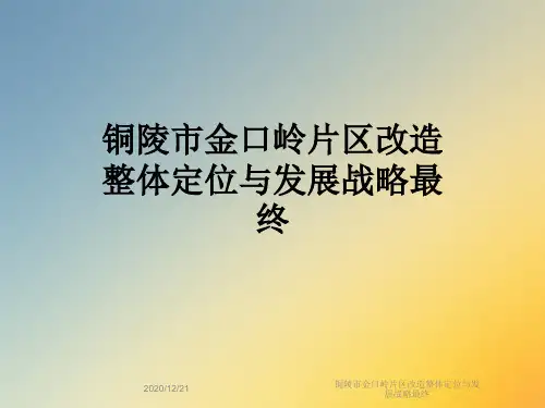 铜陵市金口岭片区改造整体定位与发展战略最终
