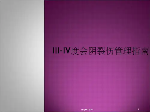 III-IV度会阴裂伤管理指南PPT课件