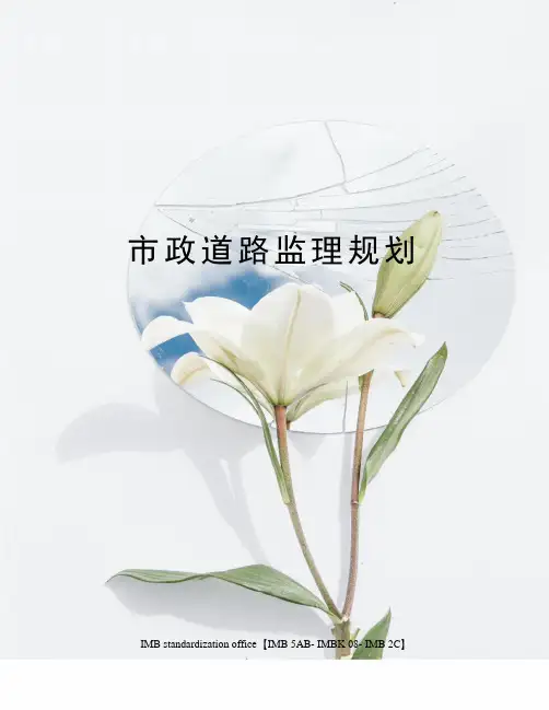市政道路监理规划