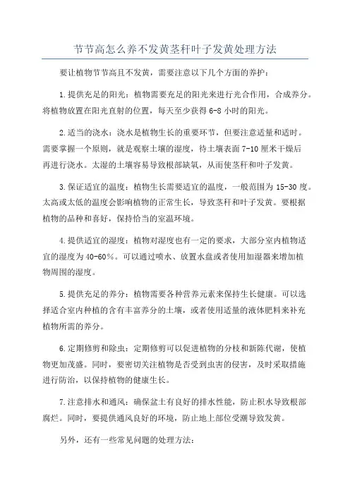 节节高怎么养不发黄茎秆叶子发黄处理方法