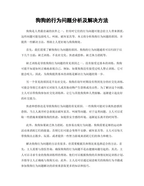 狗狗的行为问题分析及解决方法