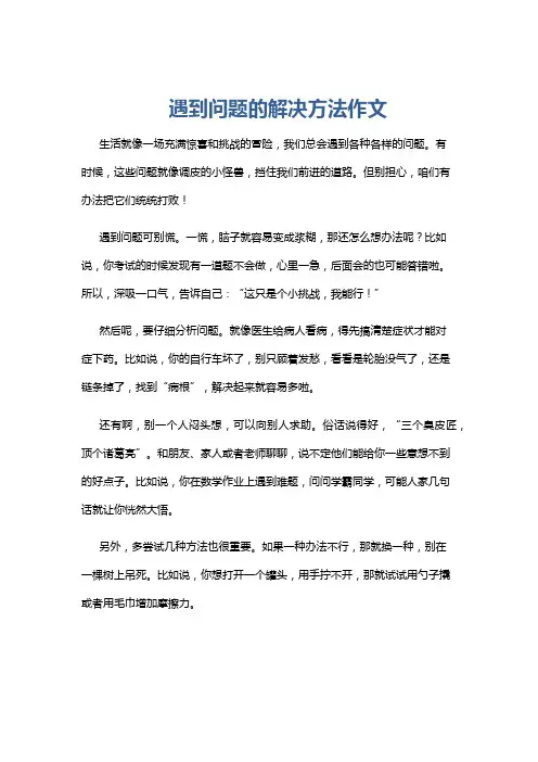 遇到问题的解决方法作文