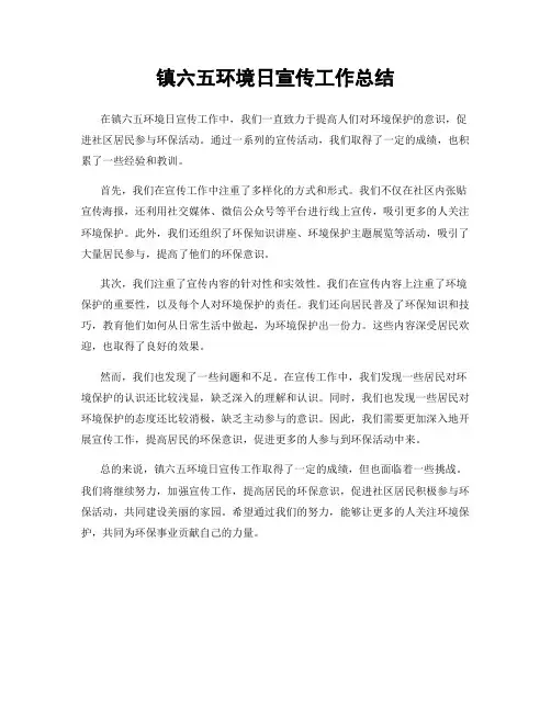 镇六五环境日宣传工作总结