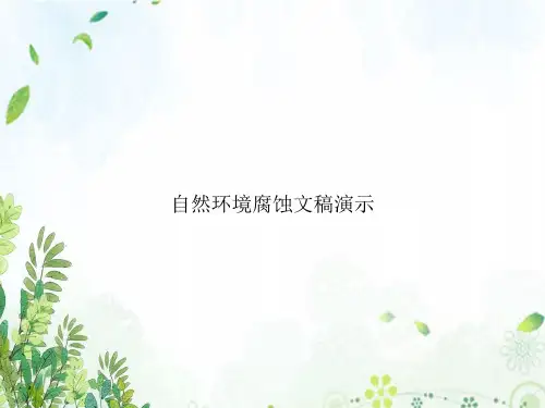 自然环境腐蚀文稿演示