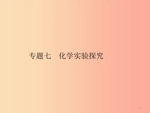 2019年中考科学总复习 专题七 化学实验探究(精讲)课件PPT