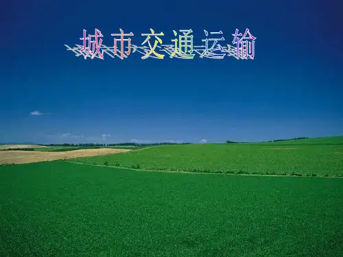 【高中地理】城市交通运输ppt