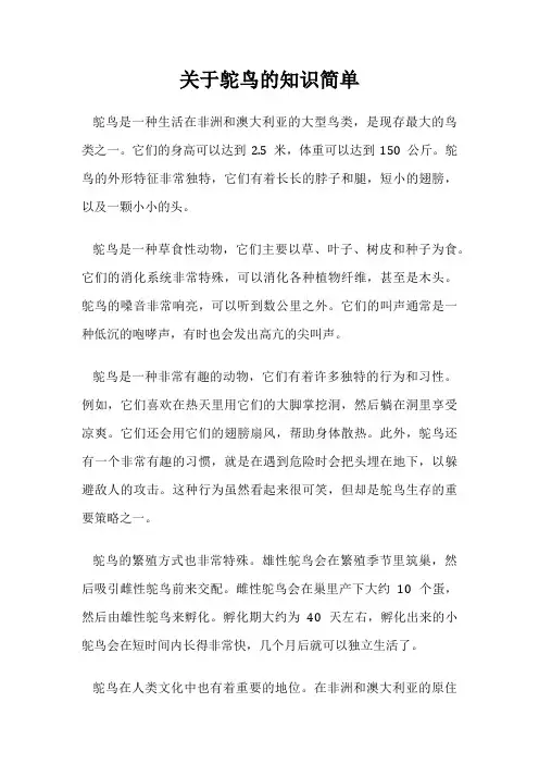 关于鸵鸟的知识简单
