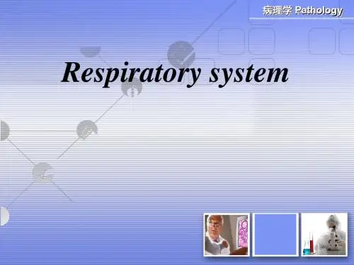 呼吸系统(中英文)PPT课件
