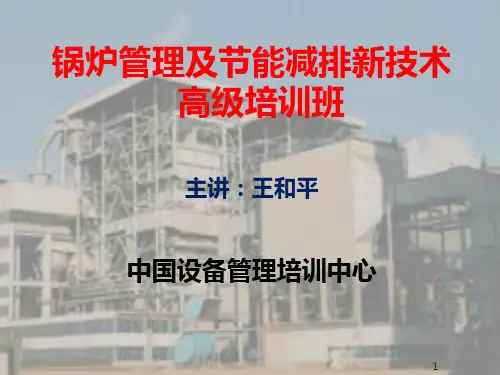 CFB锅炉-燃烧调整PPT课件