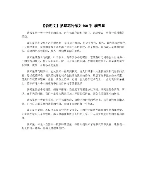 【说明文】描写花的作文400字 满天星