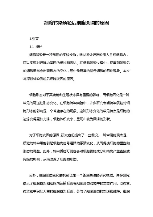 细胞转染质粒后细胞变圆的原因