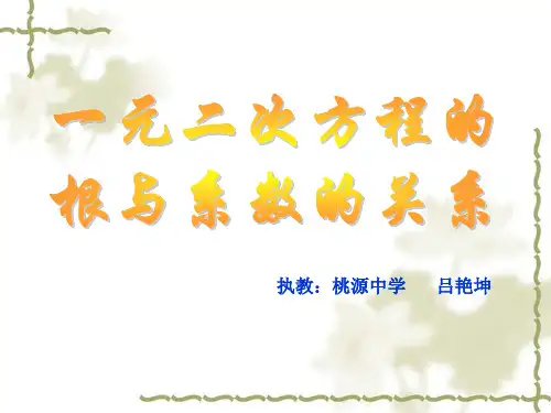 一元一次方程的根与系数的关系