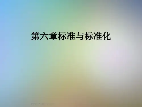 第六章标准与标准化