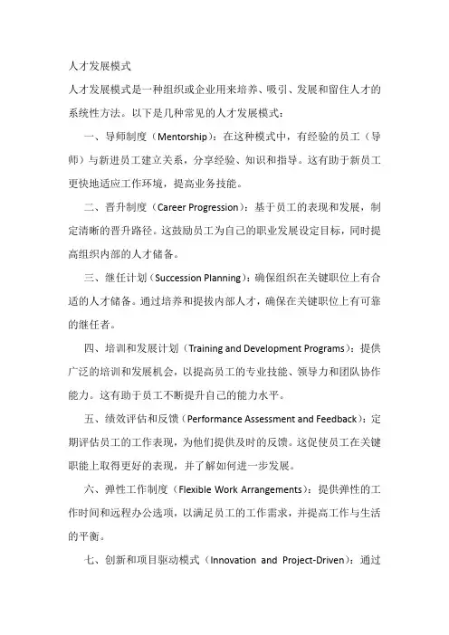人才发展模式