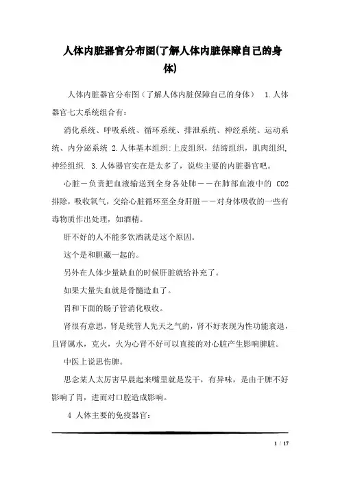 人体内脏器官分布图(了解人体内脏保障自己的身体)_0