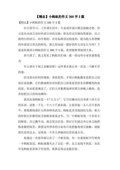 小蚂蚁的作文300字3篇