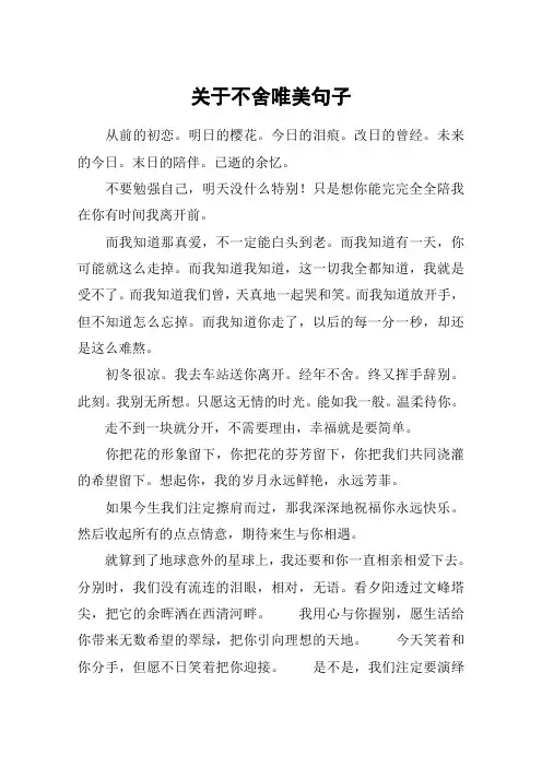 关于不舍唯美句子