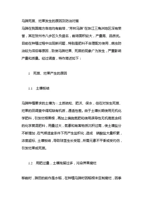 马蹄死苗、烂果发生的原因及防治对策