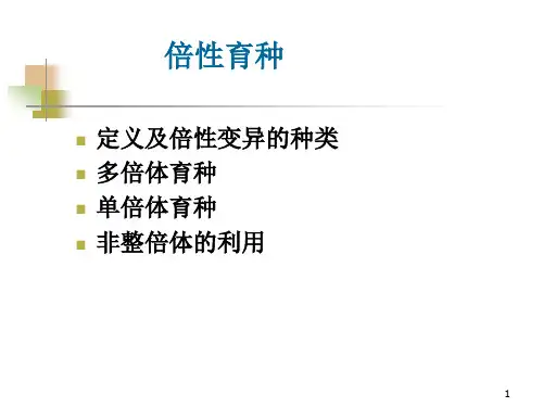 倍性育种PPT课件